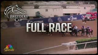 Breeders Cup 2024 Sprint Full Race  NBC Sports [upl. by Riggall]