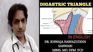 Digastric Triangle  In English  Anatomy  Submandibular region MBBSHead and neck Doctors Corner [upl. by Artenek]