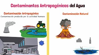 Contaminantes Antropogénicos del Agua [upl. by Atinnod641]