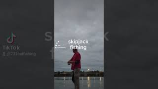 Skipjack fishing at pickwick lock and dam [upl. by Boudreaux]