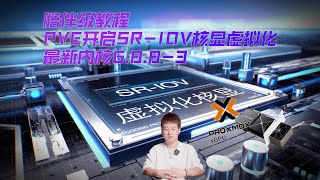 2024陪伴级教程PVE最新内核版本6883下正确开启SRIOV虚拟化核显方式 [upl. by Yattirb]