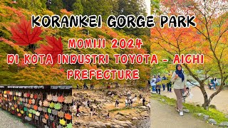 MOMIJI  Festival daun Maple 🍁 di Jepang 🇯🇵‼️ Korankei Gorge  TOYOTA AICHI PREFECTURE [upl. by Ferrigno29]