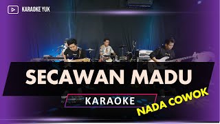 SECAWAN MADU KARAOKE NADA COWOK PRIA [upl. by Innej]