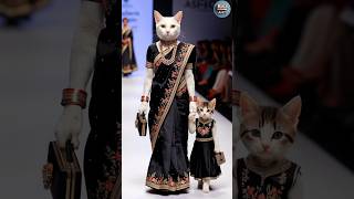 Cat and Kitten Fashion Show😻💫 cat baby shorts trending [upl. by Ahsiya]