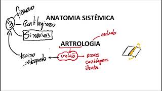 Articulações sinoviais generalidades [upl. by Rojam]