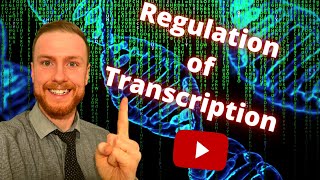 The REGULATION of TRANSCRIPTION and TRANSLATION AQA ALevel Biology [upl. by Helsell]