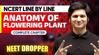 ANATOMY OF FLOWERING PLANTS in 1 Shot  NCERT Line by Line  BOTANY Chapter 6  NEET [upl. by Akire]