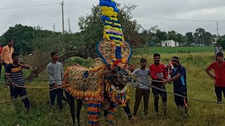 Hori habba  ಹಾನಗಲ್ ಹೋರಿ ಹಬ್ಬ  ಹಾವೇರಿ ಅನ್ನದಾತ  Haveri Annadata hori habba  hanagal hori habba [upl. by Portie]