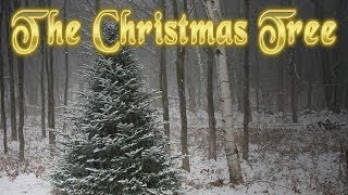 quotThe Christmas Treequot by Mike Whitehouse [upl. by Ilonka2]