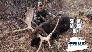 Successful Utah Shiras Moose Hunt [upl. by Tavy909]