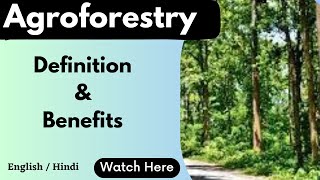 Agroforestry  definition amp Benefits  scoringscience4120 [upl. by Wennerholn]