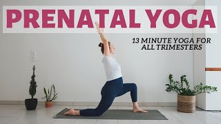 Gentle Prenatal Yoga 13 Minute Routine for Every Trimester [upl. by Lavina]