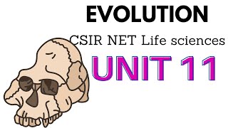 CSIR NET life science unit 11 evolution [upl. by Koser118]