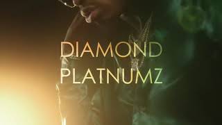 Diamond Platnumz ft Omarion African Beauty Official Video [upl. by Rexanna]