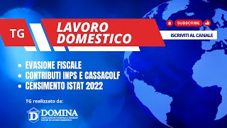 TG LAVORO DOMESTICO 180124 [upl. by Hitt651]