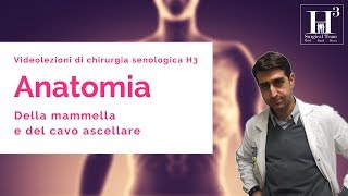 Anatomia della mammella e del cavo ascellare [upl. by Ayatnwahs]