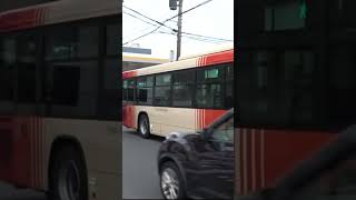 20241115🟥🟨🟧神奈中バスち85（湘南200か24432KGLV290N4）🚌鶴が台入口にて 神奈川中央交通 神奈中バス 神奈中 [upl. by Aivuy]