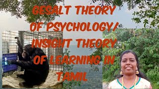 Psychology Kholers learning theory in tamil [upl. by Jethro]