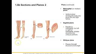 Planes Sections and Terminology [upl. by Rehpretsirhc]