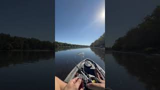 Attacked the whopper plopper fishing minnesota kayakfishing northernpike fishinglife fishtok [upl. by Vel]