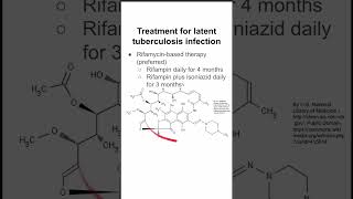 Treatment for latent tuberculosis infection [upl. by Eliga]