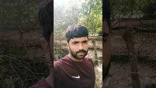 chehra Kamal hai baat gazal hai short border viral video YouTube [upl. by Patsy717]