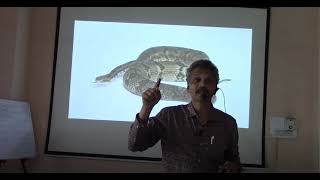 CROTALUS HORRIDUS INTRODUCTION Dr Vijaykrishna [upl. by Meehyrb]