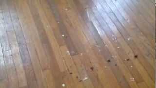 What to do if you have hardwood floors under your carpet [upl. by Clarkson92]