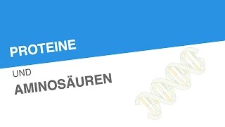 PROTEINE UND AMINOSÄUREN  Biologie  Genetik und Entwicklungsbiologie [upl. by Arym790]