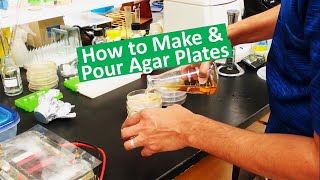 Pouring LB agar plates [upl. by Hola]