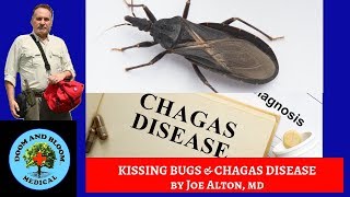 Kissing Bugs and Chagas Disease Prevention Symptoms and Treatment [upl. by Maryjane]