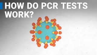 How do COVID19 tests work RTPCR explained [upl. by Einnod]