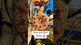 DIY Bird Seed Wreath diy asmr birdfeeder [upl. by Aicilanna82]