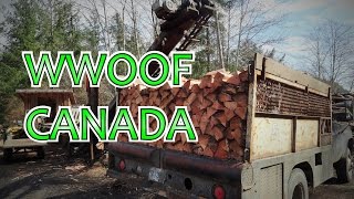 WWOOFING in Canada  WWOOF on Quadra island [upl. by Niahs]