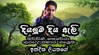 Diyaluma Diya Ali Indika Liyanage Cover Live on Stage Tribute to Mervin Perera දියලුම දිය ඇලි [upl. by Katzir]