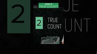 Beginners Card Counting Tips What is True Count [upl. by Romeyn]