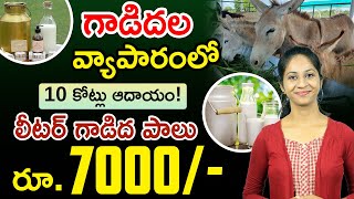 Donkey Farming In Telugu  Earn Rs7000 For 1Litre Of Donkey Milk  Donkey Farming  Milk Business [upl. by Abrahan]