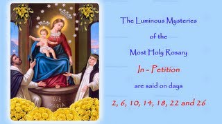 The Luminous Mysteries  In Petition  Annual 54 Day Rosary Novena [upl. by Maher]