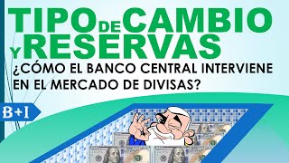 B  I  TIPO DE CAMBIO Y RESERVAS [upl. by Terhune]