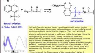 Determining the Nterminal Residue [upl. by Alyson]