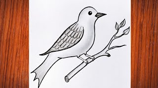 Bird drawing Simple bird drawing pencil shading drawing How to draw bird🐦 [upl. by Ahsinert]