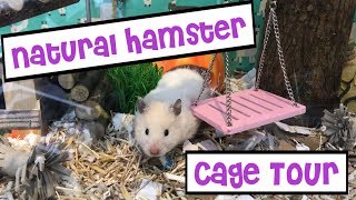 Natural Hamster Cage Tour  IKEA Detolf Woodland Theme [upl. by Blumenfeld948]