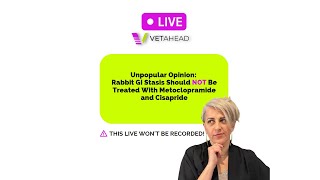 Unpopular Opinion Rabbit GI Stasis Should NOT Be Treated With Metoclopramide and Cisapride [upl. by Lyrem475]