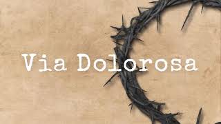 VIA DOLOROSA  LYRICS [upl. by Orpah367]