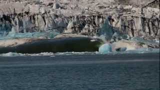 Ice lagoon  Zodiac boat tours  icelagooncom [upl. by Staford]