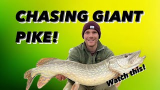 GIANT PIKE  Catching crazy KILLER fish [upl. by Pepito84]