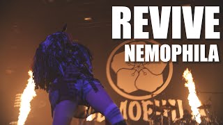 NEMOPHILA  REVIVE Official Live Video [upl. by Mcfarland]