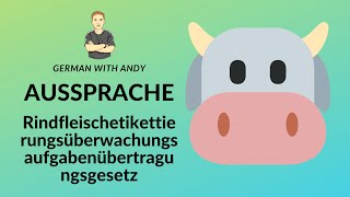 How to pronounce Rindfleischetikettierungsüberwachungsaufgabenübertragungsgesetz Aussprache Deutsch [upl. by Lesli]