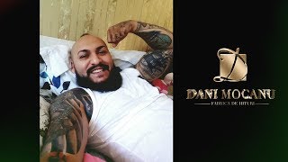 Dani Mocanu  Un sfat pentru dusmani  Official Audio [upl. by Quigley590]