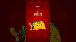 Taco Day  October 4 [upl. by Mellman]